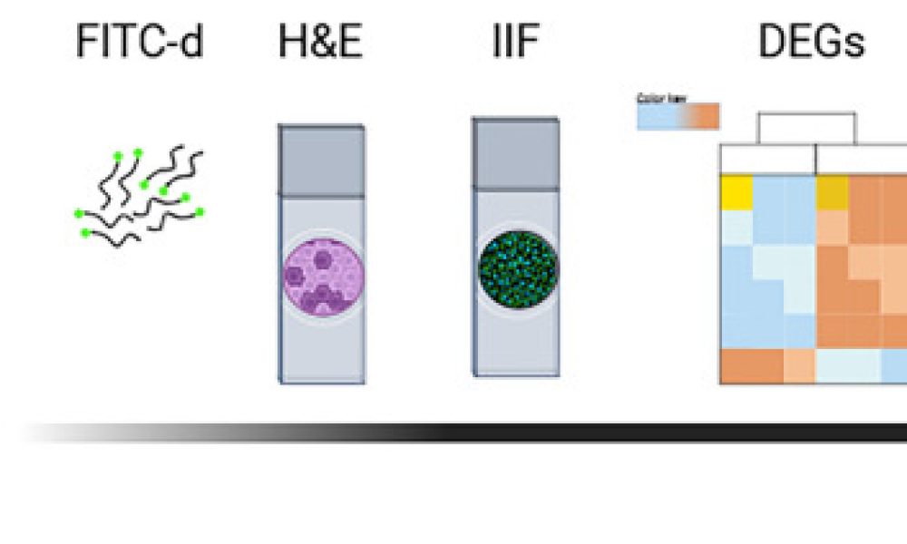 12929_2025_1159_Figa_HTML