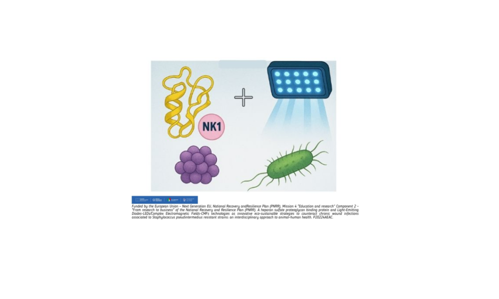 Presentazione standard1
