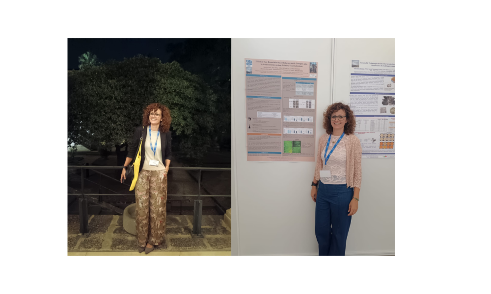 Progetto senza titolo (7)