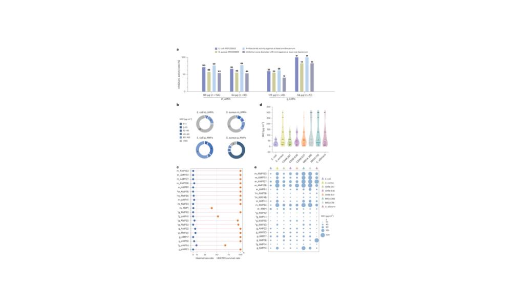 Progetto senza titolo