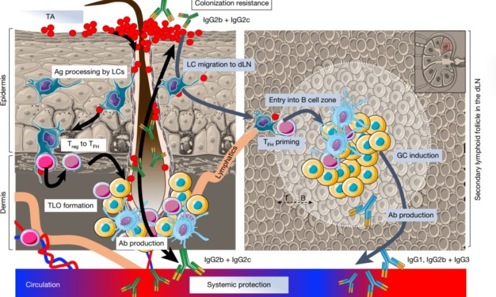 Screenshot 2025-09-01 120454