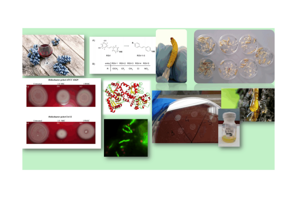 research h pylori sito